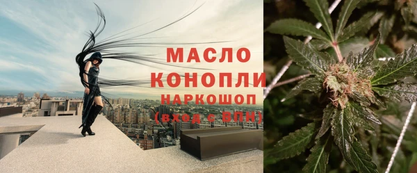 твердый Бородино