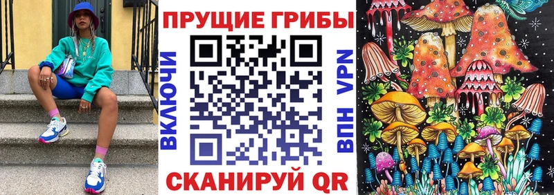 Псилоцибиновые грибы Psilocybe  закладки  Малмыж 